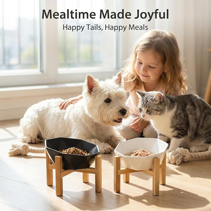 Ceramic Tilted Raised Cat Bowl - Elevated Food Bowl for Indoor Cats & Small Dogs - Shallow Wide Whisker-Friendly Design - Pet Dish Suitable for Feeding Dry, Wet, Treats & Canned Food - White