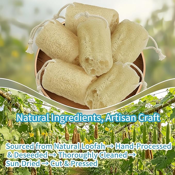 Natural Loofah Exfoliating Body Sponge Scrubber, Plant-Based Organic Loofa Luffa for Men & Women Skin Care Bath Shower Cleaning Back & Fac, Natural Sponges for Dishes (4", Count, 6.0)