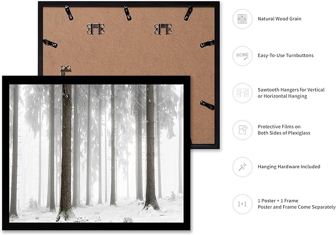 Monem Art Foggy Winter Forest Photography Print - Minimalist Snowy Landscape Poster - Wall Decor for Living Room, Bedroom or Office - 16x20 Black Framed Wall Art by Mareike Bohmer