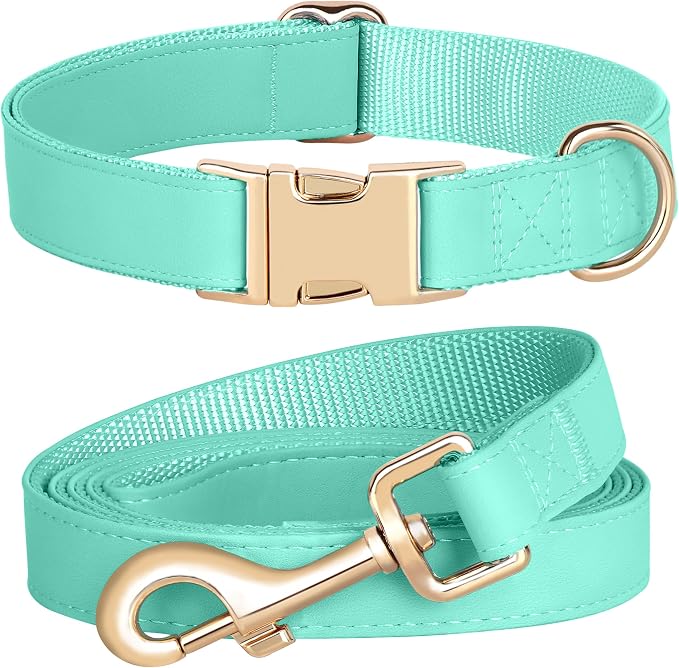 PET ARTIST Soft PU Leather Dog Collar and Leash Set, Bright & Stylish 5FT PU Leather Leash and Collar Set, Durable Pet Collars with Quick Release Metal Buckle for Small Dogs,Mint Green,S(9"-14")