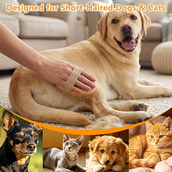 Soft Boar Bristle Pet Palm Brush for Short Haired Dogs Cats, Reduce Shedding, Ergonomic Easy-Hold Design, Reduces Wrist Stress for Daily Grooming