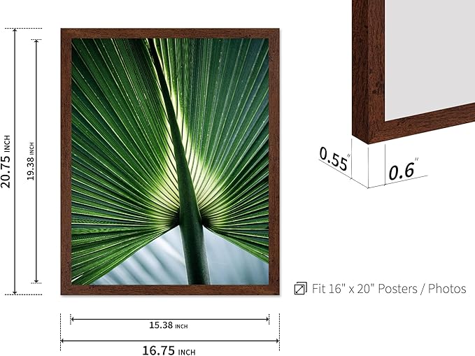 Monem Art Tropical Palm Leaf Macro Photography Print - Minimalist Botanical Nature Art Poster - Wall Decor for Living Room, Bedroom or Office - 16x20 Brown Framed Wall Art by Mareike Bohmer