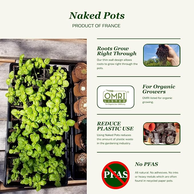 Daniel's Plants 3" Naked Pots | Natural Plantable Seed Starter Pots | OMRI-Listed Biodegradable for Seedlings | Enhanced Drainage & Aeration | Earth Friendly - Peat Free (3 Inch Round - 60 Pack)