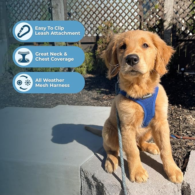 Best Pet Supplies Voyager Step-in Air All Weather Mesh Harness and Reflective Dog 5ft Leash Combo with Neoprene Handle, for Small, Medium and Large Breed Puppies - Royal Blue, Small