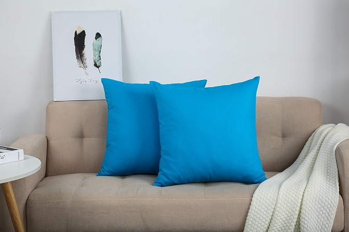 TangDepot Handmade Decorative Solid 100% Cotton Canvas Throw Pillow Covers/Pillow Shams, (28" x28" , Pacific Blue, 1 Count (Pack of 1)) | 100% cotton, same-color zip, machine wash & air dry. For living room, bedroom, office, car. 42 colors, 453 sizes. ...