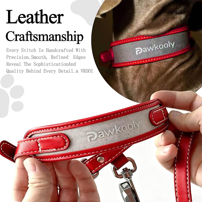 MagEase Dog Collar with 4FT Leash | Adjustable | Anti-Wrinkle, Bite & Stain-Resistant Leather | Soft & Skin-Friendly | 450LB Escape-Proof Magnetic Buckle (Red, Small)