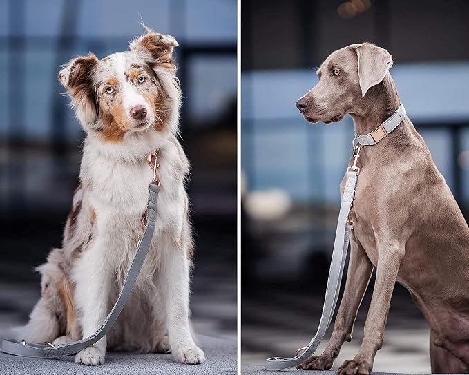 Soft Leather Dog Collar and Leash (6.6') Set - Stylish Rose Gold Heavy Duty Metal Buckle, 4 Adjustable Lengths Leash for Small Medium Large Dogs - Comfortable & Easy to Clean Grey XS(8"-12")