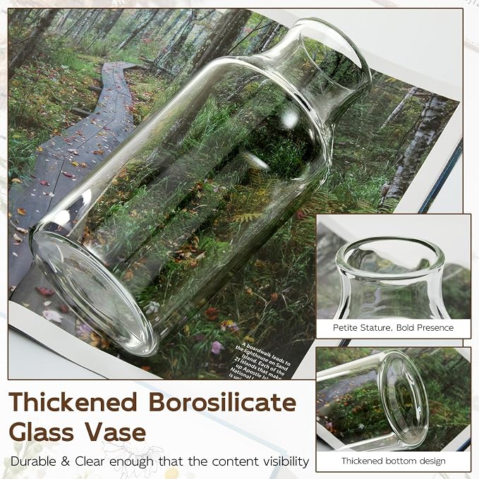 Clear Glass Vase, Small Glass Flower Vase, 7.6 inch Mini Vase for Home, Wedding, Living Room, Dining Table