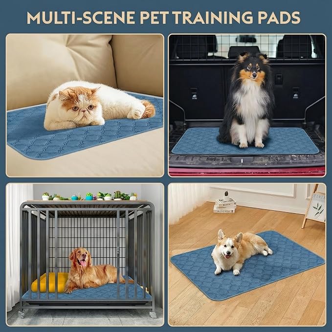 FunFurry Washable Pee Pads for Dogs - 1 Pack Reusable Pee Pads，Waterproof Puppy Pads，Pet Training Pads，Super Absorbent with Dog Paw Shape Non-Slip Backing (Blue, 72" X 72" - 1 Pack)