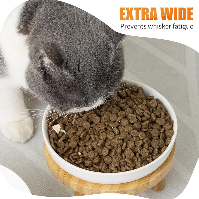 Lusifaco Shallow Elevated Cat Bowls,5.9 Inch Wide Raised Ceramic Cat Dishes with Bamboo Stand, Whisker Friendly Pet Water or Food Plates Feeding Station for Indoor Cats, Kitten(Pink,Set of 2)