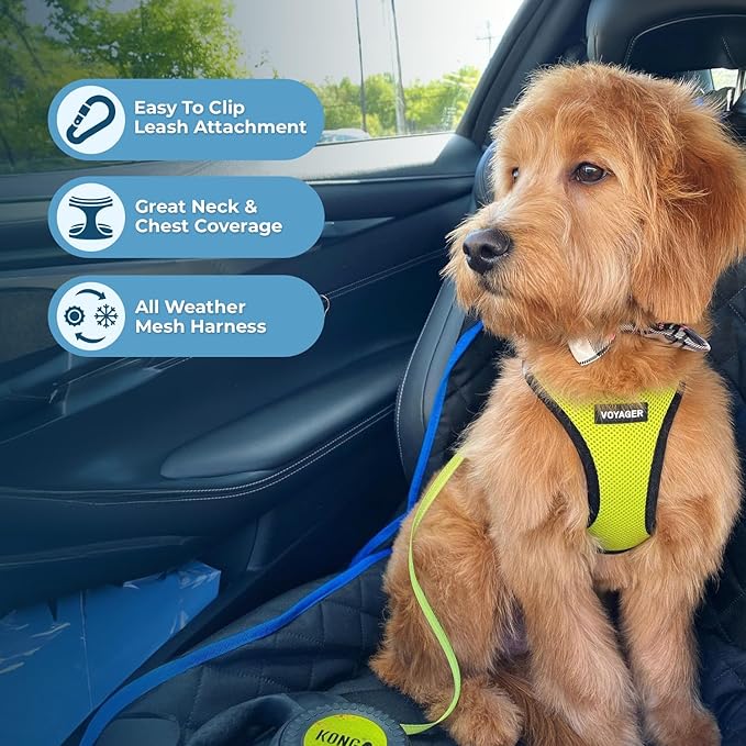 Best Pet Supplies Voyager Step-in Air All Weather Mesh Harness and Reflective Dog 5ft Leash Combo with Neoprene Handle, for Small, Medium and Large Breed Puppies - Set (Lime/Black Trim), Small