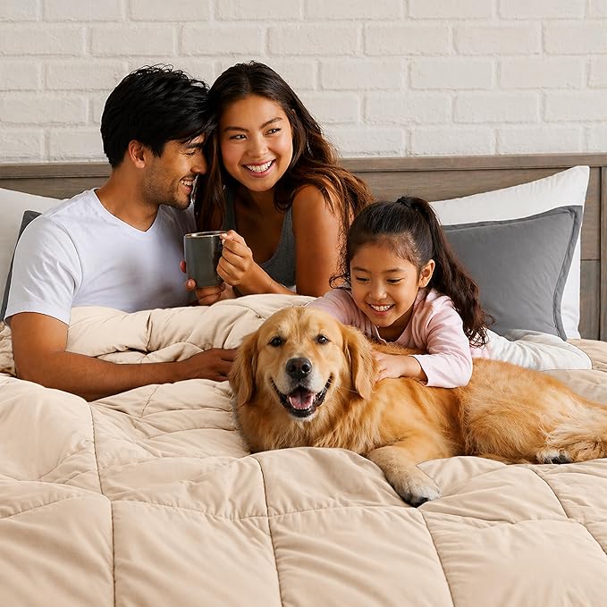 LUX Décor Queen Comforter – 88x88 Ultra-Soft Down Alternative Duvet Insert with Corner Tabs & Box Stitching, Hotel Quality Plush Hypoallergenic Microfiber, Oeko-TEX Certified – Beige