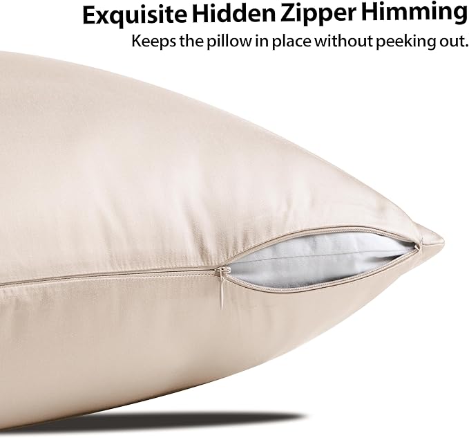 2 Pack Cooling Pillow Cases,Viscose Derived from Bamboo Pillow Protectors King Size Set of 2, 400 Thread Count Soft Silky Breathable Summer Pillow Cover with Zipper Hidden (2PCS, King, Beige)