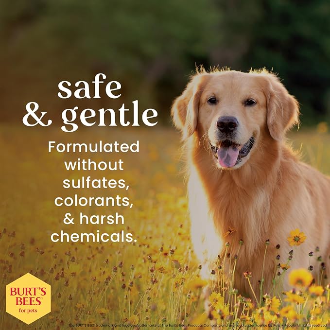 BURT'S BEES FOR PETS Itch Soothing Dog Shampoo for Itchy Skin, pH Balanced Honeysuckle with Skin-Conditioning Honey, 95%+ Natural Origin Formula, No Sulfates, Fragrances, or Colorants, 16 Fl Oz