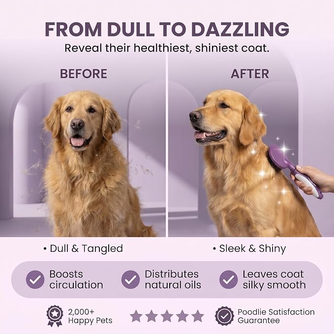 Round Bristle Pet Brush for Dogs and Cats - Soft Dog Brush for Grooming Short or Long Hair - Gentle Tool for Sensitive Skin Removes Dander, Dirt, and Detangles (Purple)