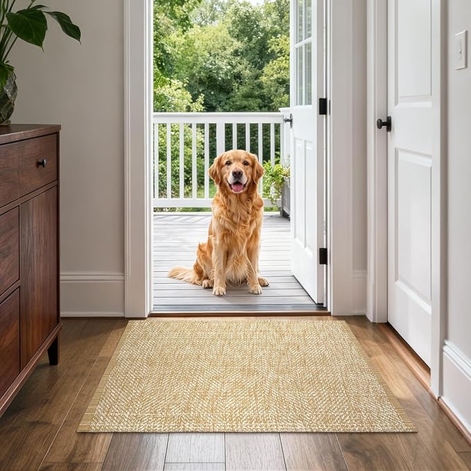 LEEVAN Washable Bathroom Rug, 2'x3' Low Profile Entryway Rugs Tan Front Door Mat Cotton Reversible Kitchen Mat Boho Bedroom Rug Farmhouse Carpet for Foyer Front Porch Decor