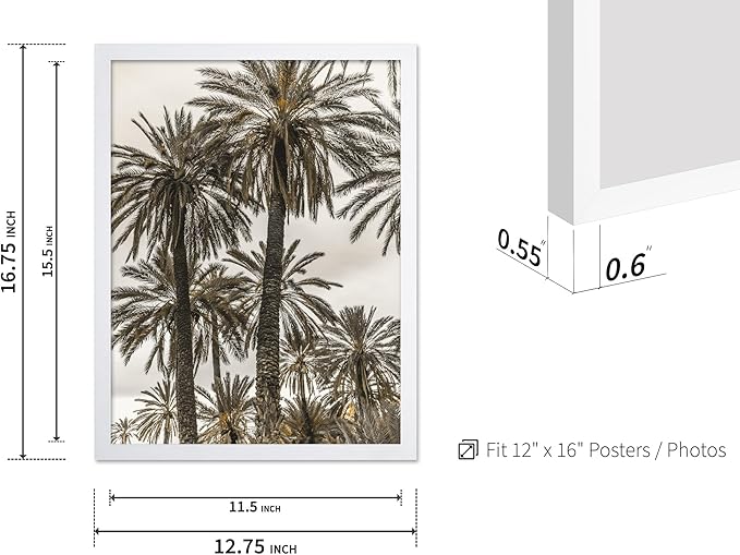 Monem Art Vintage Palm Tree Photography Print - Minimalist Tropical Landscape Poster - Wall Decor for Living Room, Bedroom or Office - 12x16 White Framed Wall Art by Mareike Bohmer