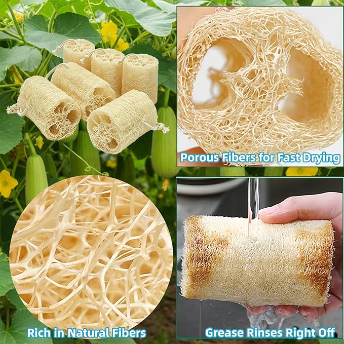 Natural Loofah Exfoliating Body Sponge Scrubber, Plant-Based Organic Loofa Luffa for Men & Women Skin Care Bath Shower Cleaning Back & Fac, Natural Sponges for Dishes (4", Count, 6.0)