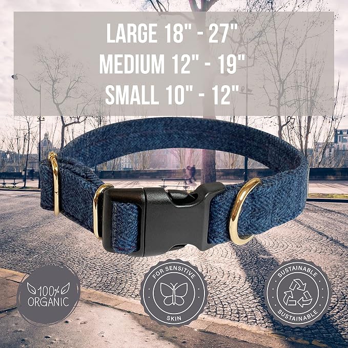 Pawsitive Wool Dog Collar - Hypoallergenic Dog Collar, Great Dog Collar for Sensitive Skin, Soft Collar for Dogs, Soft Organic Dog Collar Eco-Friendly (Medium, Beige and Leash)