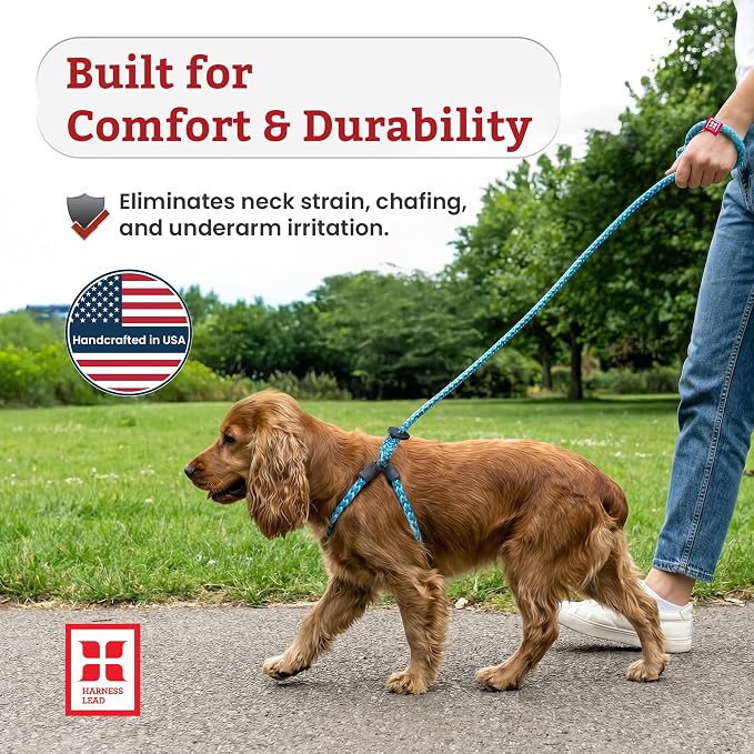 Harness Lead No Pull Dog Harness and Leash Set, Anti Pull Dog Harness, One-Piece Cushioned Rope Safely Prevents Escaping and Pulling (Small/Medium, Reef)