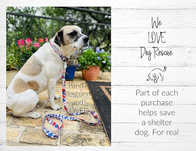Lucky Love Dog Martingale Collar, Premium Fun Girl No Slip Collars, Strawberry Martingale Medium Dog Collar, Great for Whippets, Greyhounds, and More (Sweet Berry, Medium)