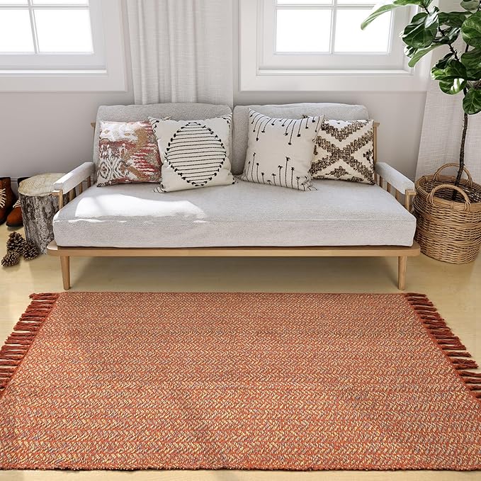 Lahome Belle Boho Kitchen Rug, 3x5 Fall Rugs for Bedroom Lightweight Bathroom Area Rug Woven Indoor Door Mats for Entryway with Tassels, Farmhouse Throw Rug Non Shedding Floor Carpet for Office Dorm