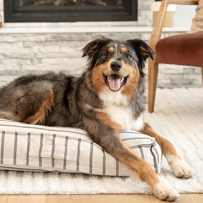 Harry Barker Striped Pillow Dog Bed, Luxury Washable Pet Bed with Recycled Fill, Soft Square Cushion Bed for Small Dogs & Cats, Cream & Black