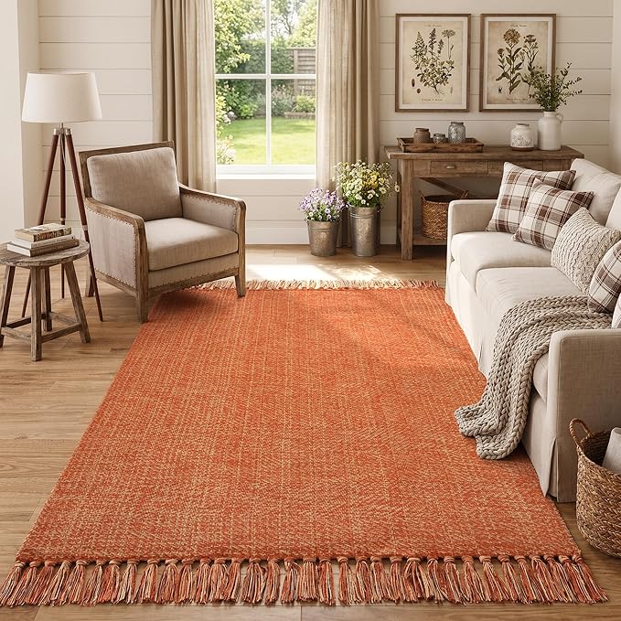Collive Comfy Area Rug 4' x 6', Terra Woven Cotton Bedroom Rugs, Modern Indoor Accent Rug Floor Carpet with Tassel for Living Room, Nursery Room, Dining Room, Bedside