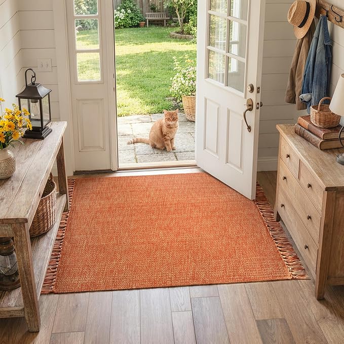 Collive Washable Area Rug 3' x 5', Modern Woven Kitchen Rugs, Terracotta Braided Cotton Rug Indoor Door Mat Throw Carpet for Entryway Living Room Nursery Laundry Room