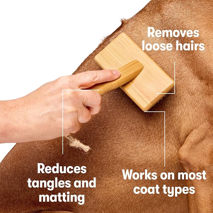 DOG by Dr Lisa - Slicker Brush - Short Bristle Brush for Dogs - For Most Dog Coats - Made from Sustainable Bamboo - Vet-Created - Small
