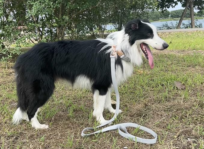 Dog Collar and Leash Set.Soft and Easy to Clean Vegan Leather with Rose Gold Metal Buckle for Small Medium Large Dogs (Grey, L(15.4”-24.8“)