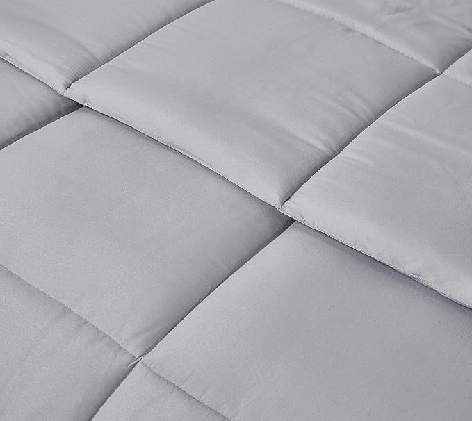 Blue Ridge Home Fashions Microfiber Light Weight Solid Down Alternative All Season Comforter - Hypoallergenic Polyester Fill, Twin, Platinum