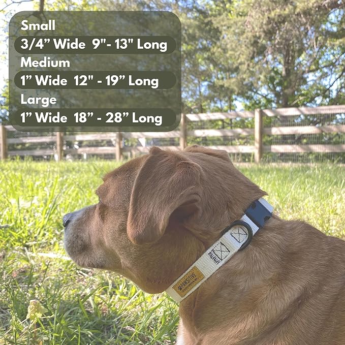 Pawsitive Hemp Dog Collar - Super Soft Hypoallergenic Lining. Great for Small, Medium and Large Dogs; Small Night Blue
