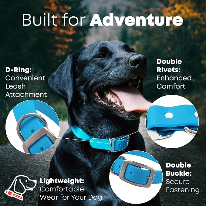 Regal Dog Products Large Light Blue Dog Collar with Heavy Duty Double Buckle & D Ring | Vinyl Coated, Custom Fit, Adjustable Biothane Dog Collar Chew Resistant Waterproof Collar for Dogs