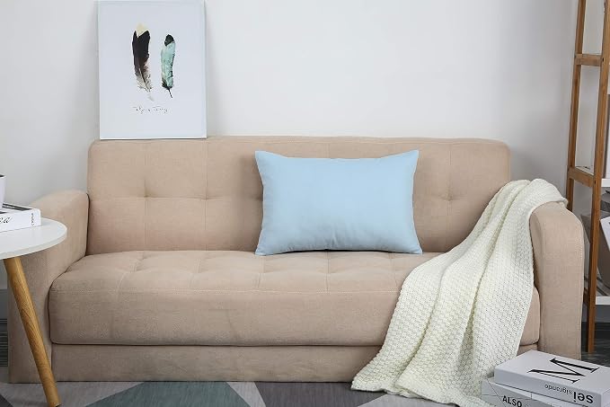 TangDepot 100% Cotton Solid Throw Pillow Cover 12x20 Light Blue | 100% cotton, same-color zip, machine wash & air dry. For living room, bedroom, office, car. 42 colors, 117 sizes. Cover only.