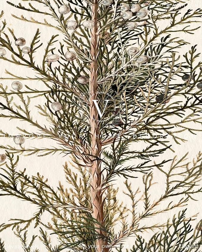 Vodefoad Vintage Cypress Tree Christmas Print Classical Naturalist Tree Landscape Print Painting Moody Christmas Farmhouse Wall Art Minimalist Mid Century Wall Art Painting Picture Aesthetic for Bedroom Bathroom Office Winter Room Decor Holiday Decorat...