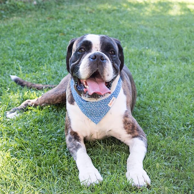 Pettsie Hemp Dog Bandana Collar & Matching Owner Friendship Bracelet | Soft & Durable Hemp, Removable Scarf, Matching Owner Friendship Bracelet, Gift-Ready Set