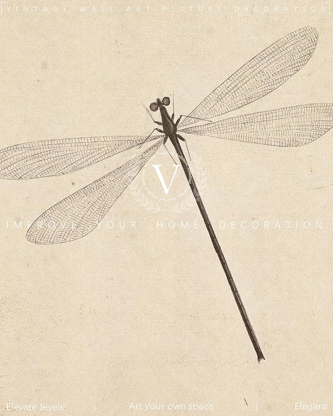 Vodefoad Vintage Dragonfly Sketch Art Print, Neutral Insect Animal Wall Decor, Antique Dragonfly Drawing Canvas Oil Painting, Minimalist Animal Wall Decorations, Retro Artwork Pictures for Gallery Bedroom Living Room Decor - 8x10Inch Unframe