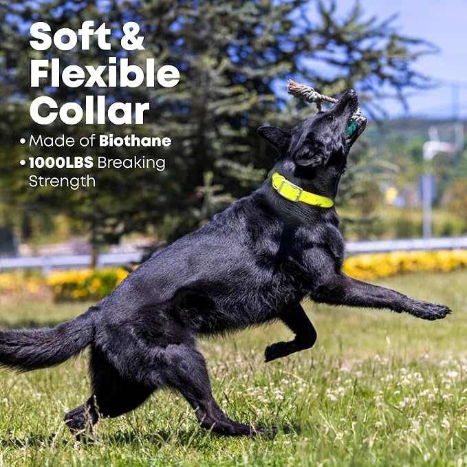 Regal Dog Products Small Yellow Waterproof Dog Collar and Leash Set | Heavy Duty Double Buckle & D Ring - 5'ft Leash | Adjustable Biothane Dog Collar | Chew Resistant Waterproof Collar for Dogs