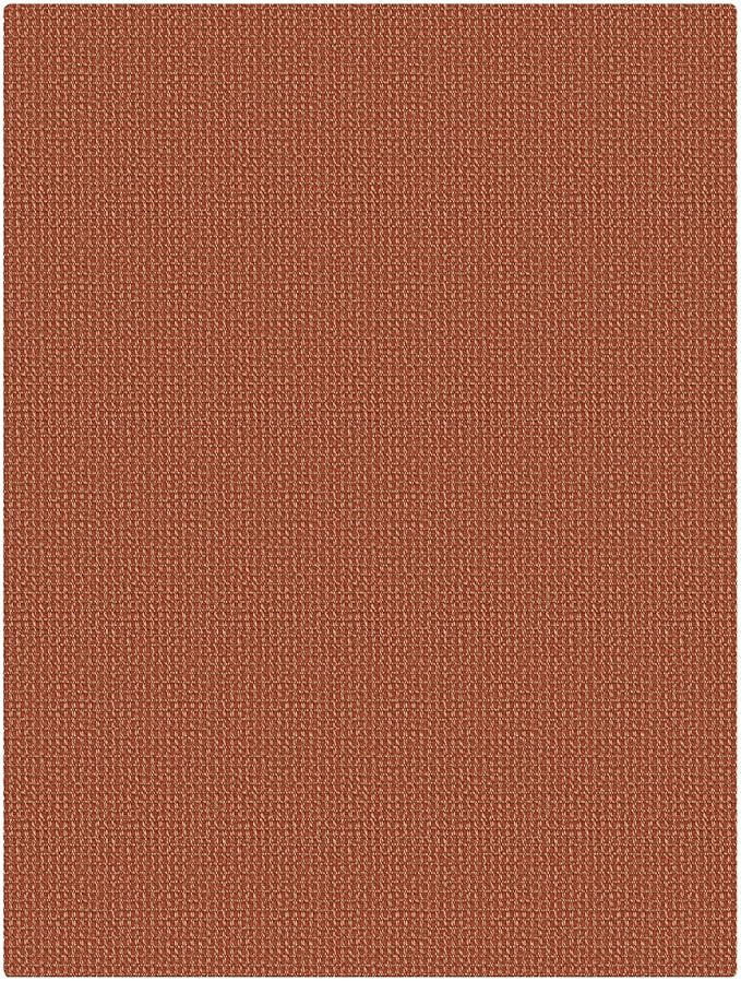 EARTHALL Woven Area Rug 3x4 Ft Washable Rugs for Entryway Braided Non Slip Rubber Backed Throw Rugs Door Mat Indoor Outdoor Entrance Cotton Carpet for Kitchen Foyer Front Door, Rustic Orange/Tan