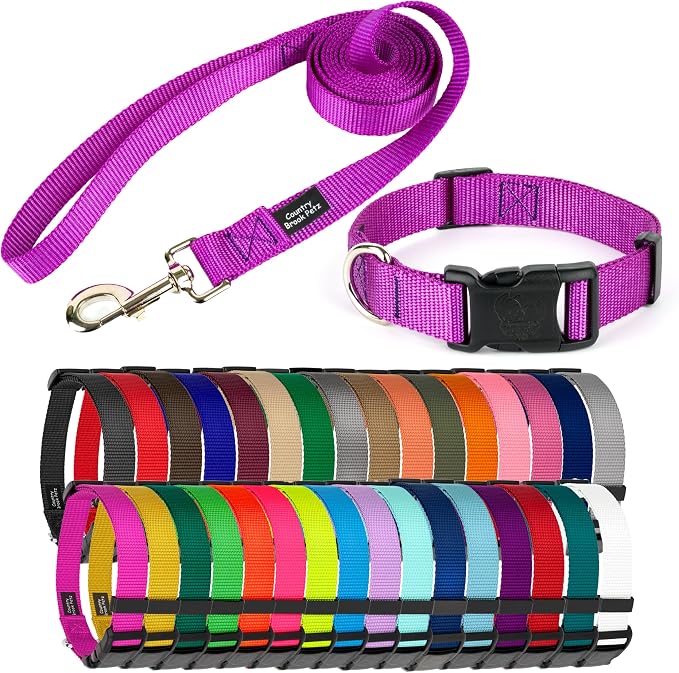 Country Brook Petz - Deluxe Nylon Dog Collar and Leash - 10+ Cool Colors (3/4 Inch, Small, Bright Purple)