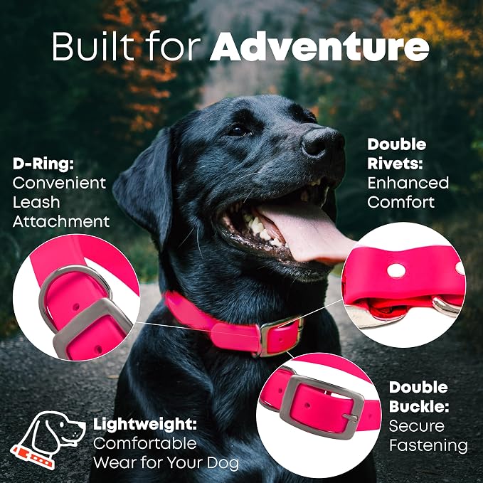 Regal Dog Products Small Pink Waterproof Dog Collar and Leash Set | Heavy Duty Double Buckle & D Ring - 5'ft Leash | Adjustable Biothane Dog Collar | Chew Resistant Waterproof Collar for Dogs