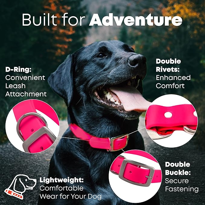 Regal Dog Products Large Pink Waterproof Biothane Dog Collar and Leash Set | Heavy Duty Double Buckle & D Ring - 5'ft Leash | Adjustable, Chew Resistant Collar for Dogs