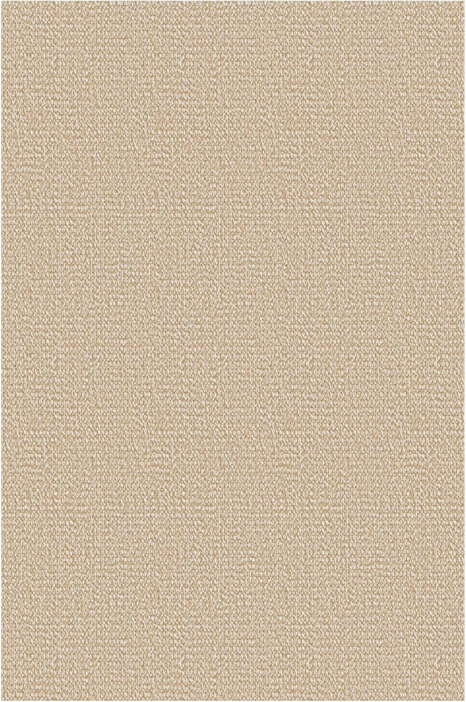 EARTHALL Washable Area Rug 2x3 Ft Non Slip Rugs for Entryway Braided Small Throw Rugs with Rubber Backing Door Mat Indoor Outdoor Entrance Rug for Kitchen Foyer Front Door, Golden Beige/White