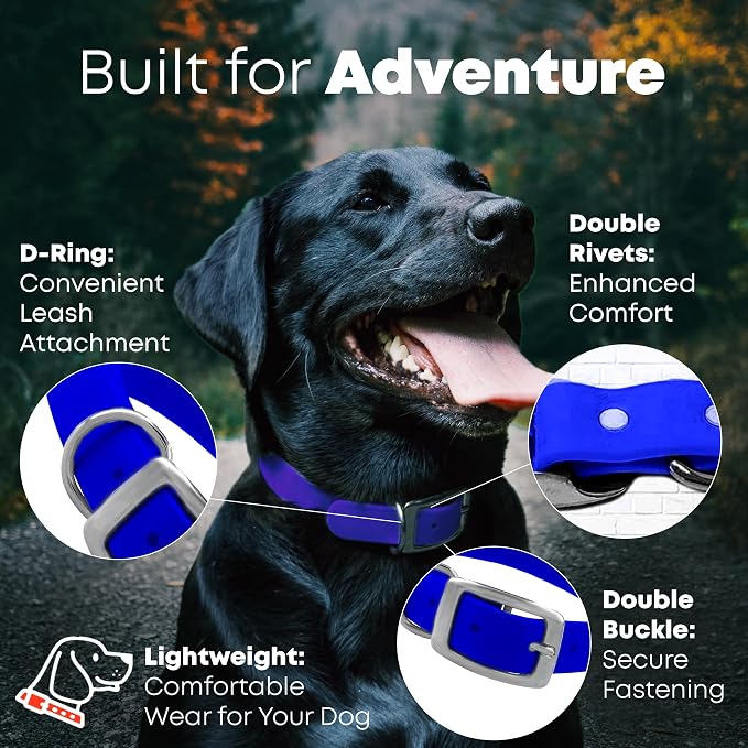Regal Dog Products Medium Blue Dog Collar with Heavy Duty Double Buckle & D Ring | Vinyl Coated, Custom Fit, Adjustable Biothane Dog Collar | Chew Resistant Waterproof Collar for Dogs