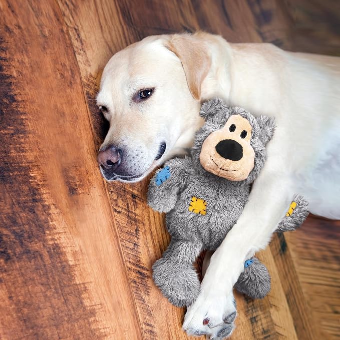 KONG Wild Knots Bears - Durable Dog Toys with Internal Knotted Ropes and Minimal Stuffing for Less Mess (Assorted Colors) (X Large (2 Pack))