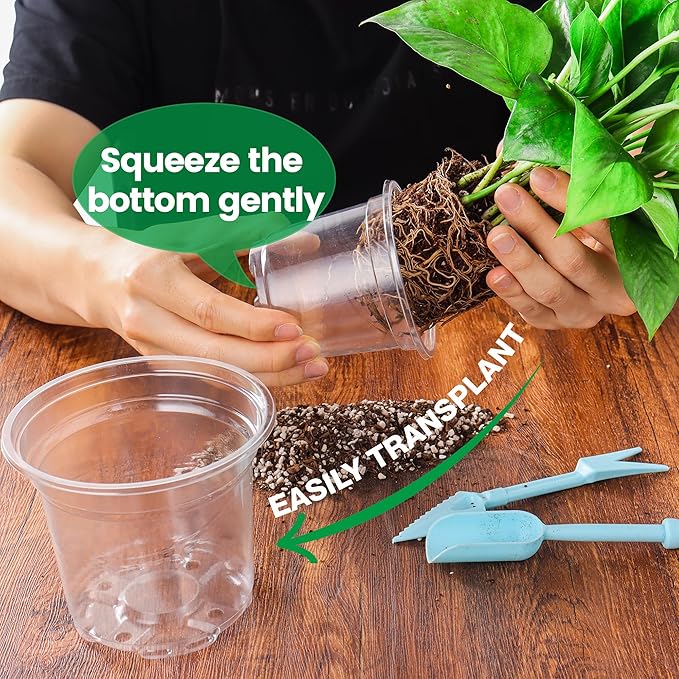 Bluepro 20 Pack 8/6/5/4/3.5 Inch Reinforced Large Clear Nursery Pots with Drainage Hole, Transparent Variety Pack Plastic Plant Pot for Vegetable Propagation, Root Cutting, Seed Starting