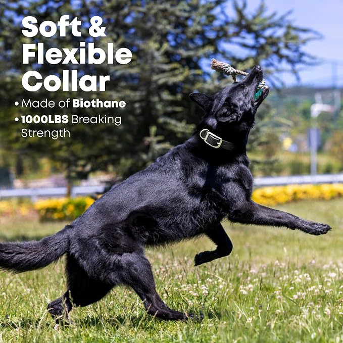 Regal Dog Products Medium Black Waterproof Dog Collar and Leash Set | Heavy Duty Double Buckle & D Ring - 5'ft Leash | Adjustable Biothane Dog Collar | Chew Resistant Waterproof Collar for Dogs