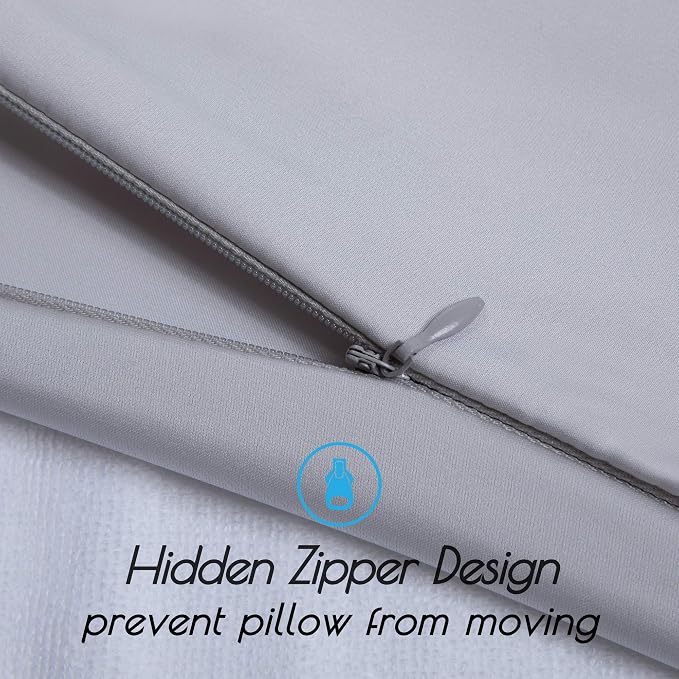 100% Mulberry Silk Pillowcase for Hair and Skin,with Hidden Zipper,Both Sides 19 Momme 600 Thread Count Natural Silk Pillow Cover,Soft Breathable Smooth (Silver, Queen 20''x30'')