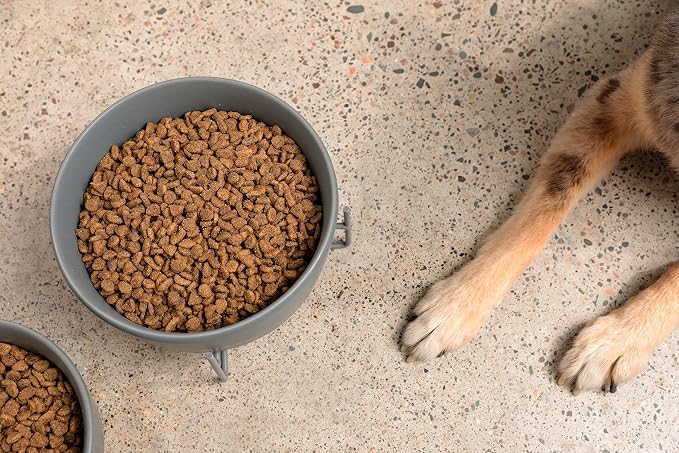 Waggo Simple Solid Dog Bowl and Dog Bowl Stand - Single Iron Stand with Single Ceramic Feeder or Water Bowl (Dolphin, Small)